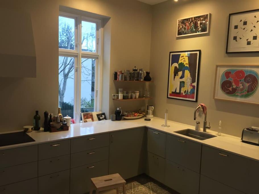 Luxurious, Private, Centrally-located Mansion Villa Copenhagen